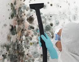 Why You Should Choose Our Mold Remediation Services in Lake Erie Beach, NY